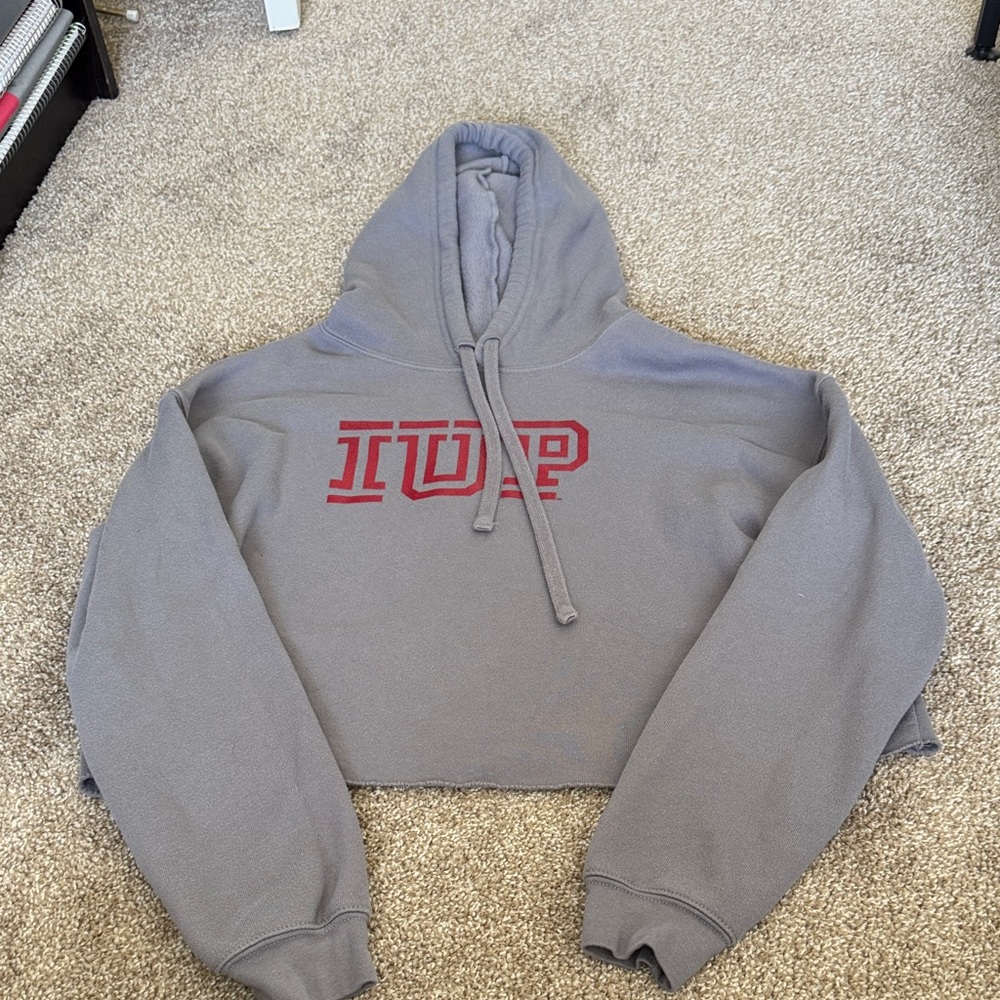 Cropped Gray Hoodie with Red Graphic